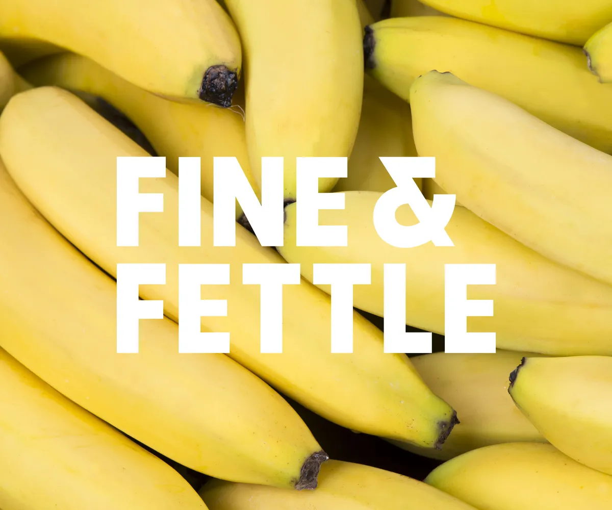 Fine Fettle logo 10