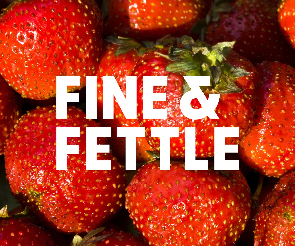 Fine Fettle logo 12