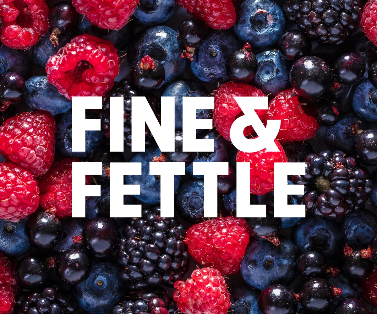 Fine Fettle logo 8