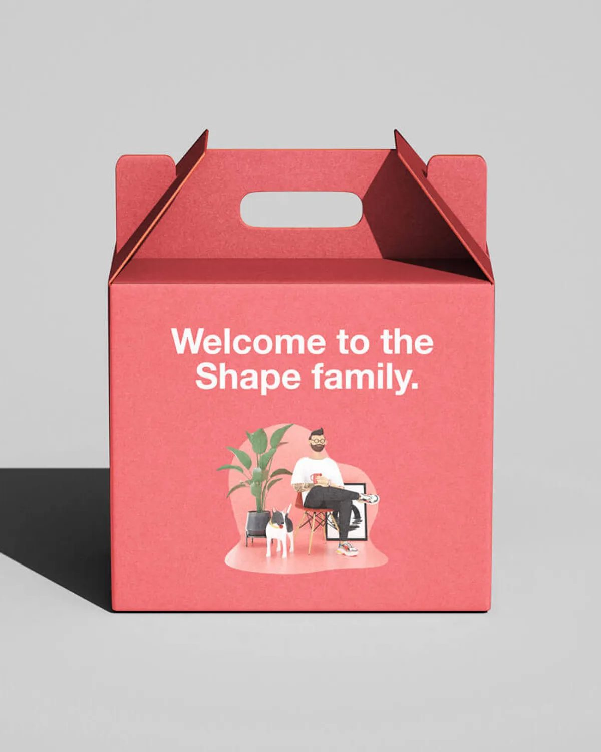 Shape Packaging 2
